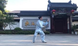 武式太极拳96式 武式太极拳96式