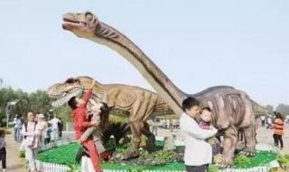 北京欢乐谷门票多少钱 北京欢乐谷门票多少钱