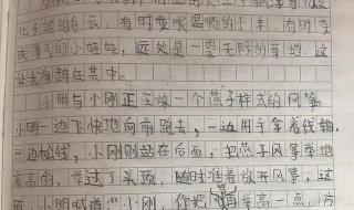 三年级下册作文大全 三年级下册作文大全