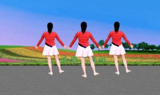 中老年广场舞大全